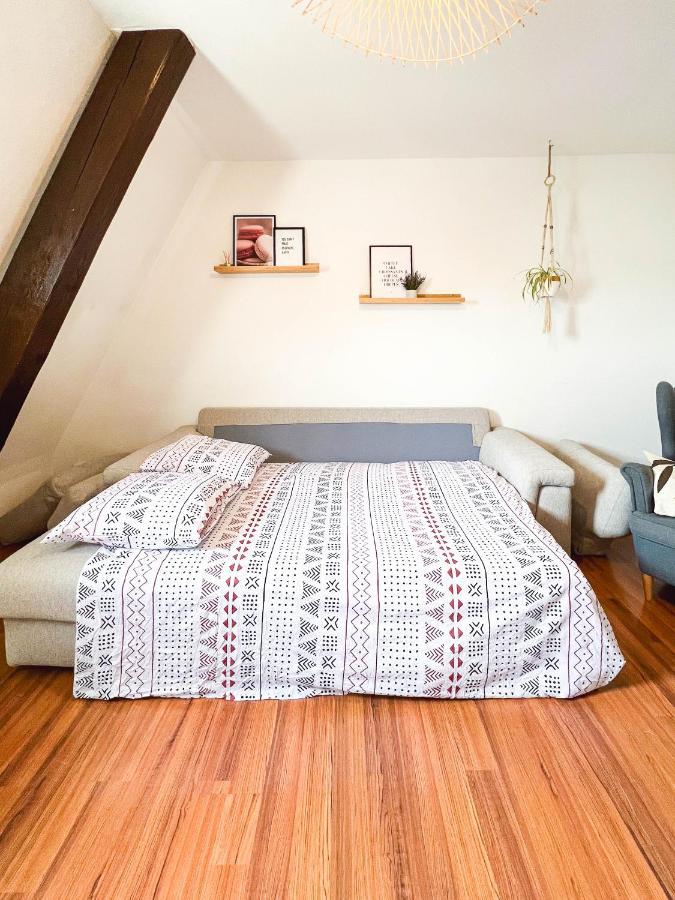 Appart'Hotel Le Dornach - Proche Gare Et Autoroute Mulhouse Bagian luar foto