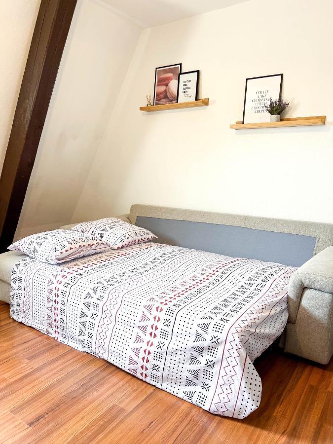 Appart'Hotel Le Dornach - Proche Gare Et Autoroute Mulhouse Bagian luar foto