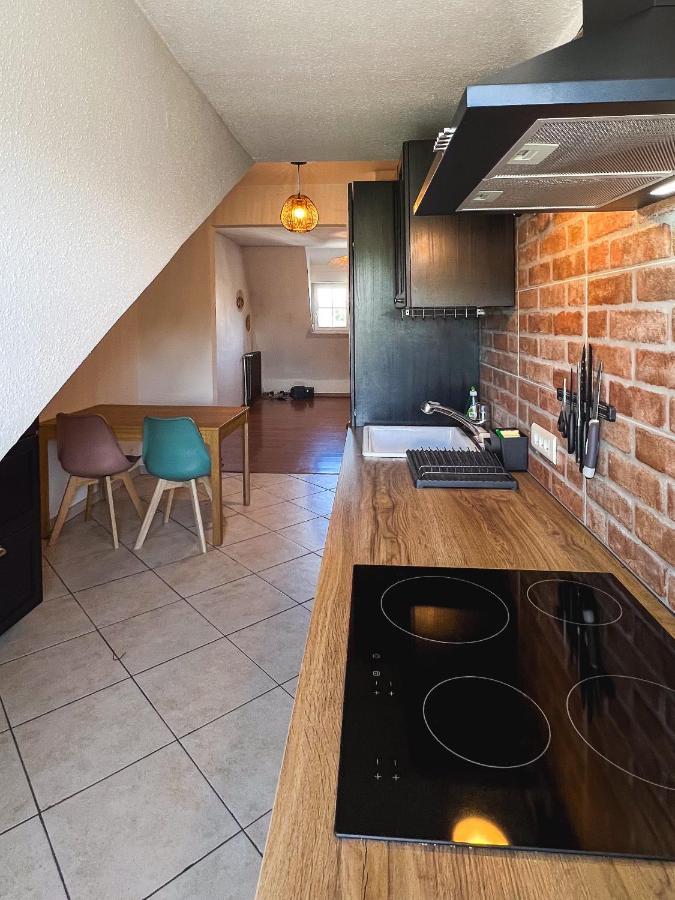 Appart'Hotel Le Dornach - Proche Gare Et Autoroute Mulhouse Bagian luar foto